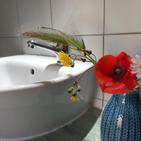 Sunseabeach Kamp alanı *